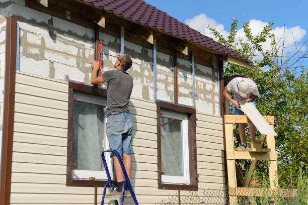 Best Custom Trim and Detailing for Siding  in Roseville, MN