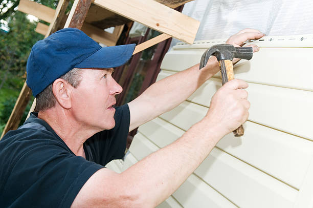 Affordable Siding Repair and Maintenance Services in Roseville, MN